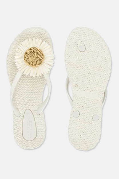 120 CREME