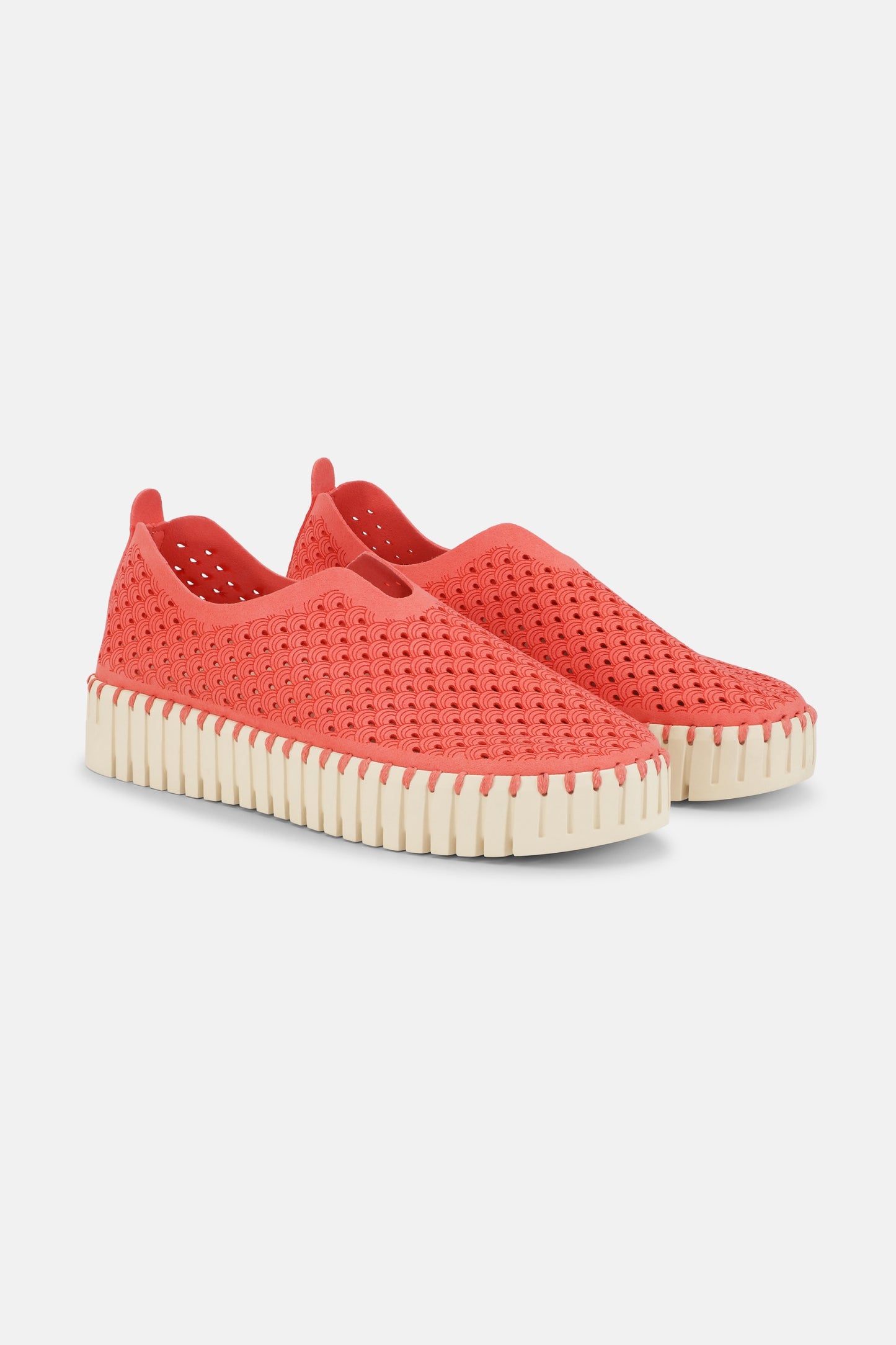 890 RASPBERRY