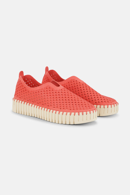 890 RASPBERRY