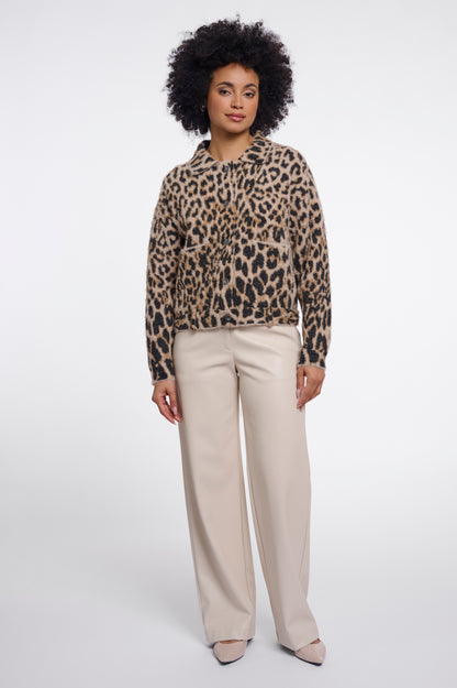 Light leopard