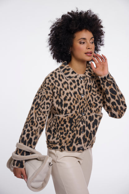 Light leopard