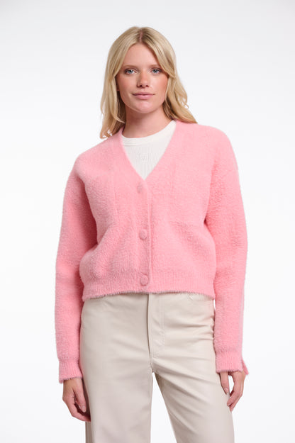 COTTON CANDY 