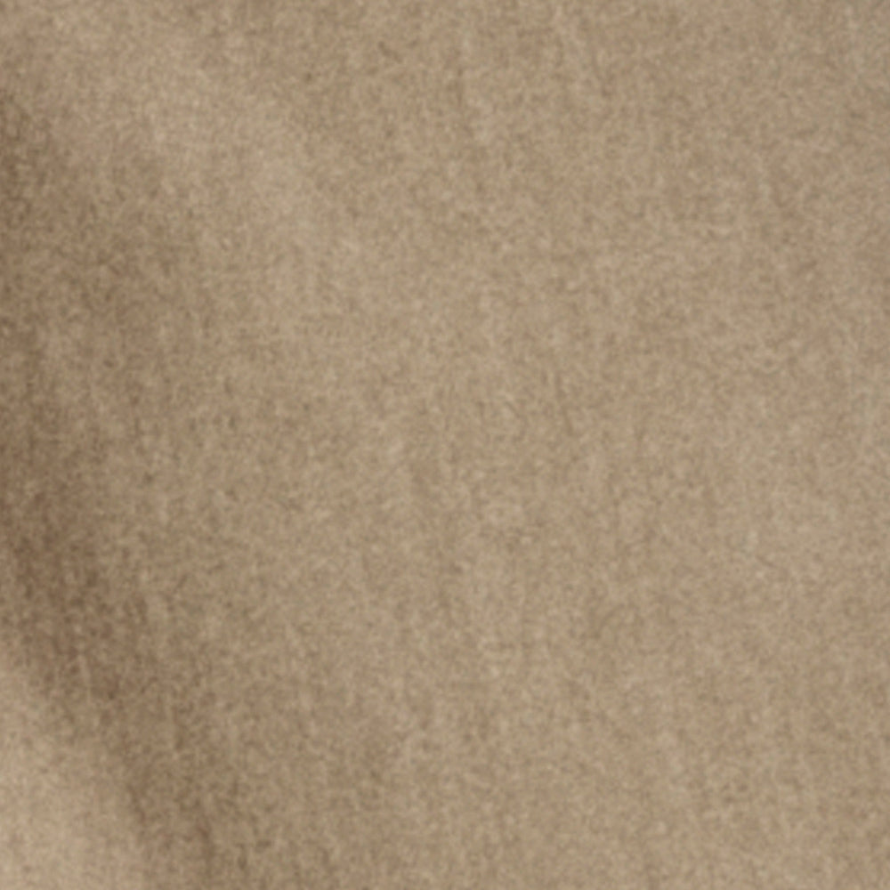 204 CAMEL 