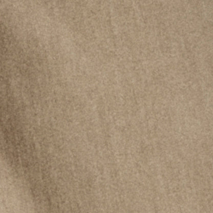 204 CAMEL 